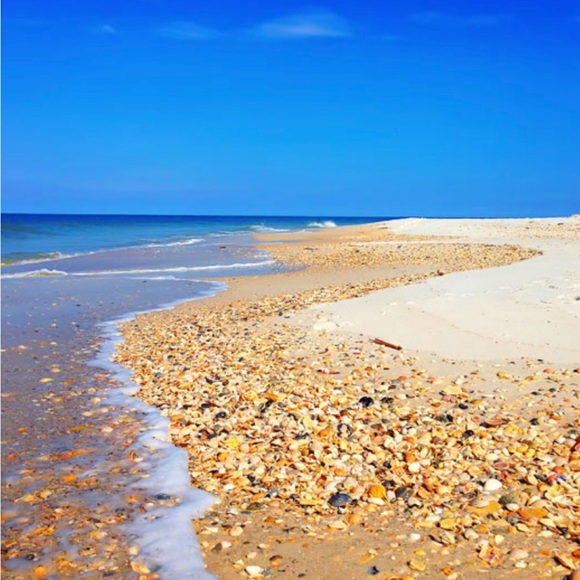 167. Beachy bamboo coral earrings - Picture 3 of 4